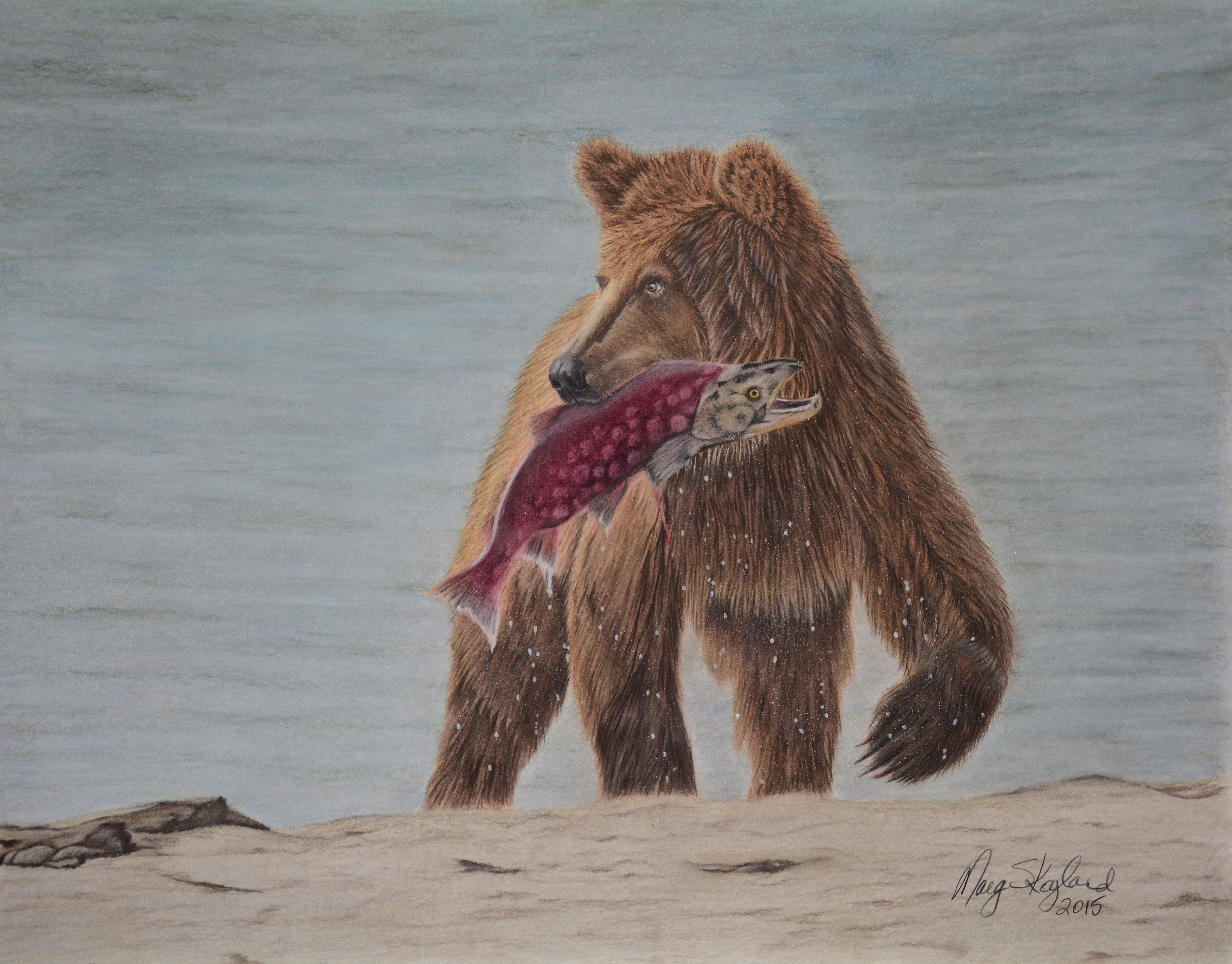 Grizzly Bear with Salmon